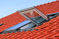 Bescot roof window